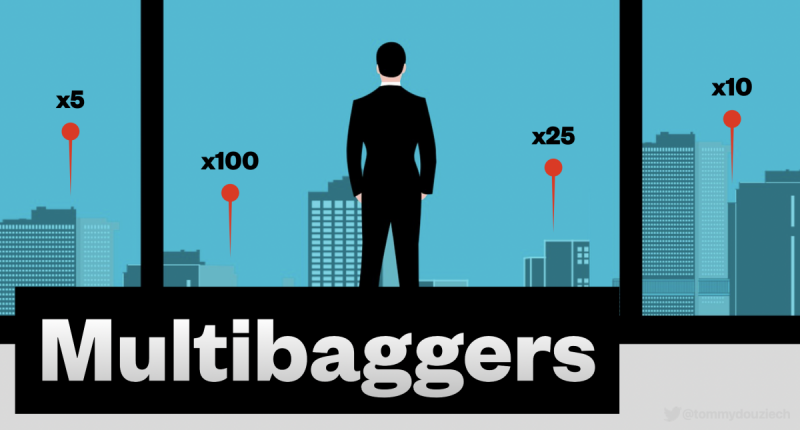 Multibaggers : la stratégie des gagnants