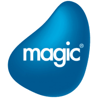 Logo Magic Software Enterprises Ltd.