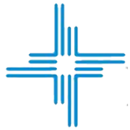 Logo Hana Microelectronics