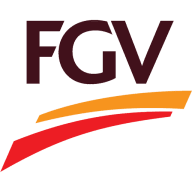 Logo FGV Holdings