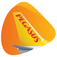 Logo Pegasus Hava Tasimaciligi Anonim Sirketi