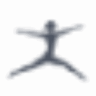 Logo Danskin, Inc.