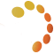 Logo Solesence, Inc.