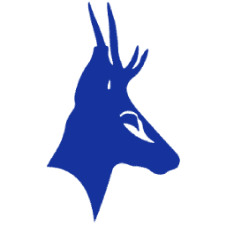 Logo Tesoro Gold Ltd.