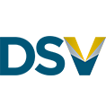 Logo Discovery Silver Corp.