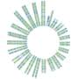 Logo Soleno Therapeutics, Inc.