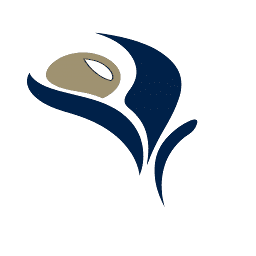 Logo Sarama Resources Ltd.