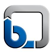 Logo KSB SE & Co. KGaA