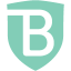 Logo BrandShield Systems Plc