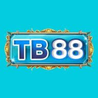 Logo TeraBeam Networks, Inc.