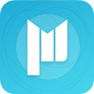 Logo Metaprise Solutions