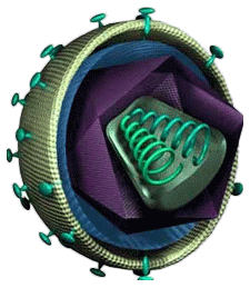 Logo GeoVax Labs, Inc.