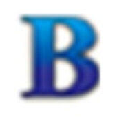 Logo Briara Trading Co.