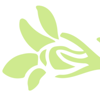 Logo SkinHealth, Inc.