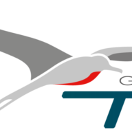 Logo TFCM SAS