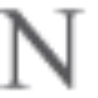 Logo Norton Ditto