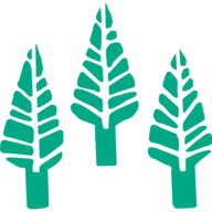 Logo Cedars Camps
