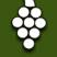 Logo The American Vineyard Foundation