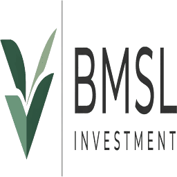 Logo BMSL Investment Ltd.