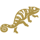 Logo Chameleon Asset Management AG