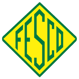 Logo FESCO Ltd.