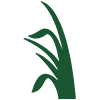 Logo La Crosse Forage & Turf Seed LLC