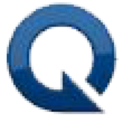 Logo Qualex Consulting Services, Inc.