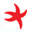 Logo Ocean Institute