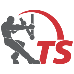 Logo Timesavers LLC (MN)