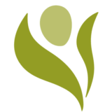Logo The Virginia Home