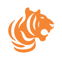 Logo Birla Tyres Ltd.