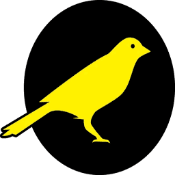 Logo Canary Foundation