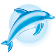 Logo Maya Srl