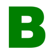 Logo Bird Holdings Ltd.