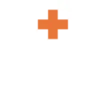 Logo Denysys Corp.