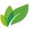 Logo Shandong Weifang Rainbow Chemical Co., Ltd.