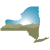 Logo New York State Health Foundation