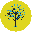 Logo St. Hope Foundation