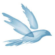 Logo Freedom In Creation