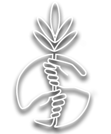 Logo Imagen Foundation