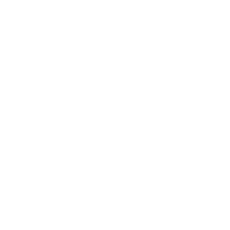 Logo Riopaila Agricola SA