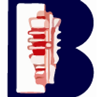 Logo Botil Oil Tools India Pvt Ltd.