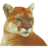 Logo Puma Biotechnology, Inc.