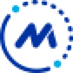 Logo The Manufacturing Leadership Council