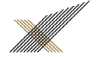 Logo X-Chequer Fund Management (Pty) Ltd.