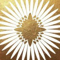 Logo The Soul of Money Institute