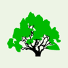 Logo Shreveport Green