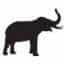 Logo International Elephant Foundation