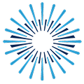 Logo Boston Foundation for Sight