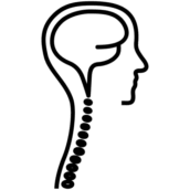 Logo Raleigh Neurosurgical Clinic